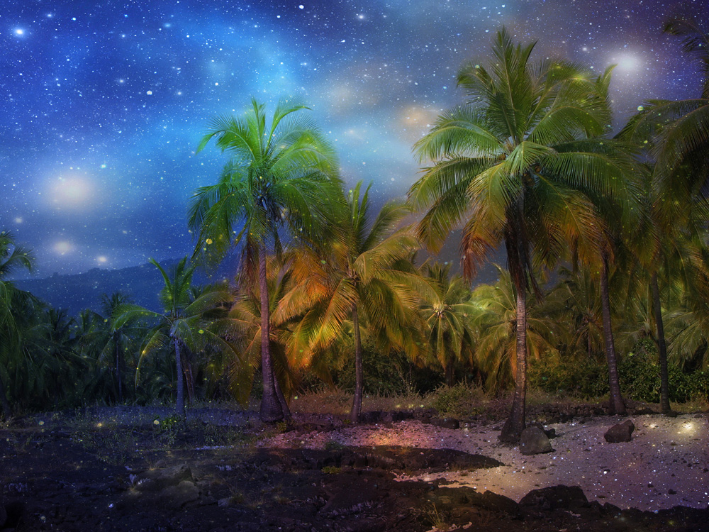 nighttime_paradise_blog