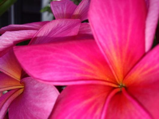 Photo credit: Debbie Gara