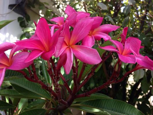 Photo credit: Debbie Gara