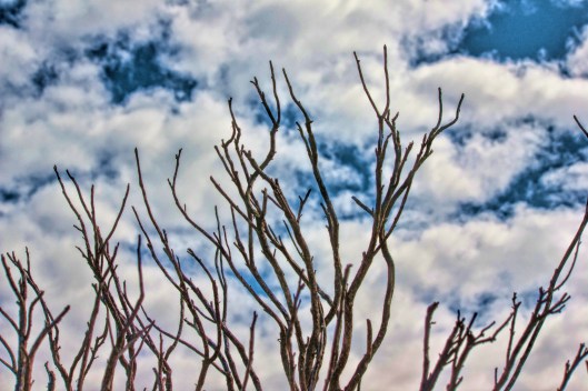 "Reach" Photo credit: Dallis Day Richardson