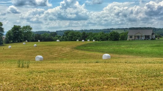 Hay bales VA