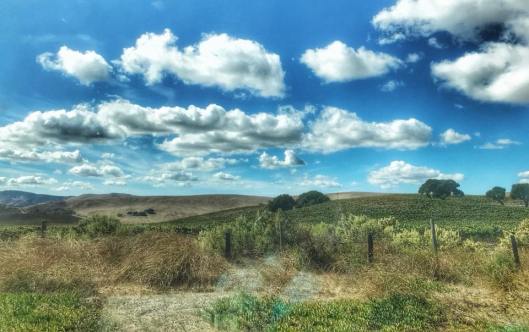 Blistery blustery beautiful day