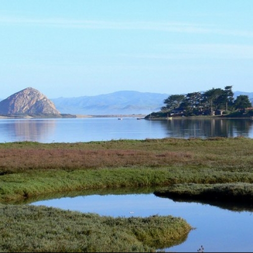 STV_losososca3jpg_crop_1433002852